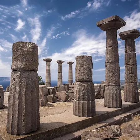 Nikola * Bodrum